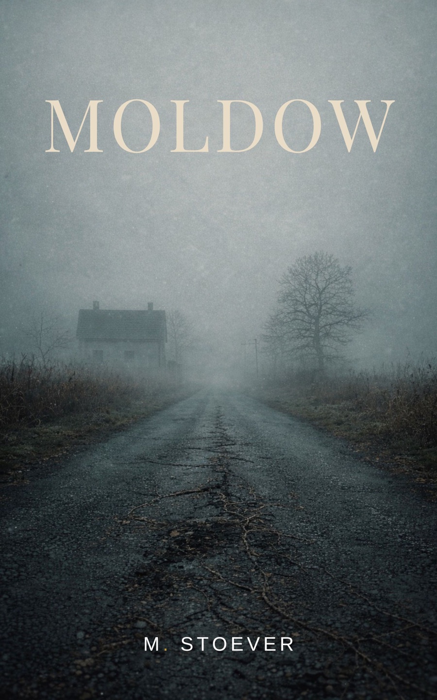 MOLDOW – Roman von M. Stoever